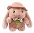 Мягкая игрушка Кролик в шляпе коричневый (20см) (12-81018-202510-SPT-21) - 2