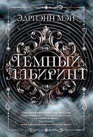 Темный лабиринт. Книга 1