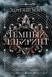 Темный лабиринт. Книга 1