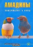 Амадины. Содержание и уход (цвет)