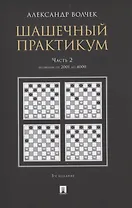 Шашечный практикум. Часть 2. Позиции от 2001 до 4000