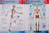 Нескучная физика. Анатомия. Космос. 4D Энциклопедии в дополненной реальности (комплект из 3 книг) - 2