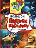 Большой подарок школьнику - 0