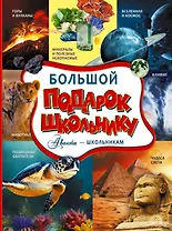 Большой подарок школьнику