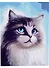 Холст с красками по номерам "Голубоглазый котик", 30 х 40 см - 0