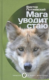 Мага уводит стаю