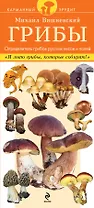 Грибы. Определитель грибов русских лесов и полей