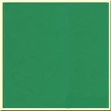 Бумага для пастели 50*65 "Tiziano" 160г/м2 №12 зеленый, Fabriano