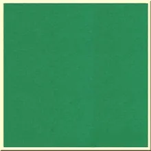 Бумага для пастели 50*65 "Tiziano" 160г/м2 №12 зеленый, Fabriano