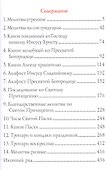 Православный молитвослов (ПИ) (рисов.срез) - 1