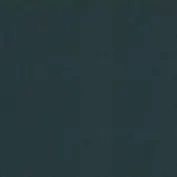 Бумага для пастели 50*65 "Tiziano" 160г/м2 №30 антрацит, Fabriano