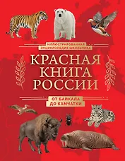 Красная книга России. От Байкала до Камчатки. Иллюстрированная энциклопедия школьника (48 стр.)