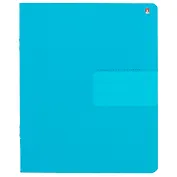 Тетрадь в линейку Альт, "Простые цвета", 24 листа, в ассортименте