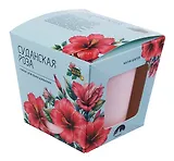 Набор д/выращивания растений Магия Цветов, Суданская роза (mf-022)