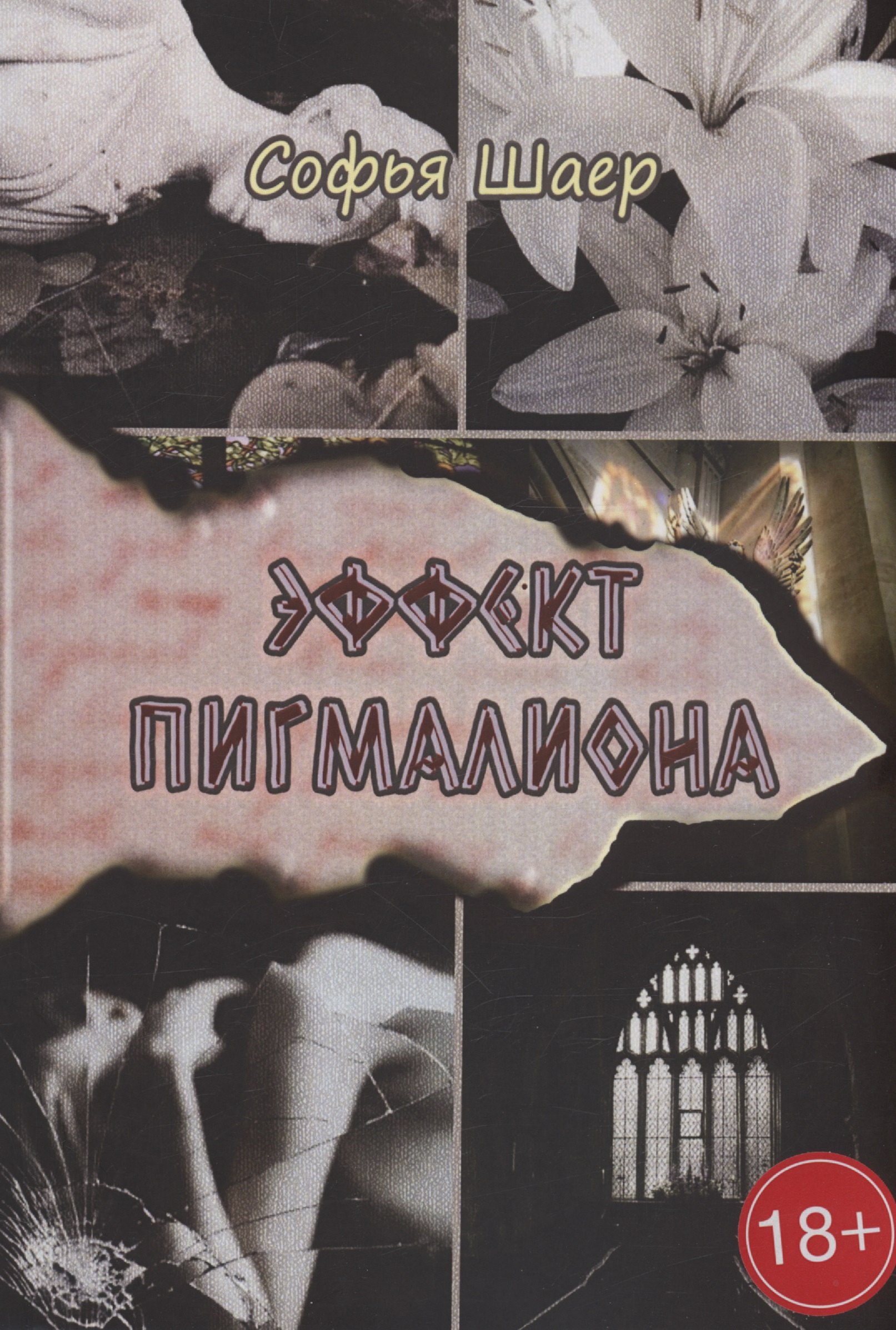 

Эффект Пигмалиона