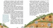 Какие бывают клады - 1