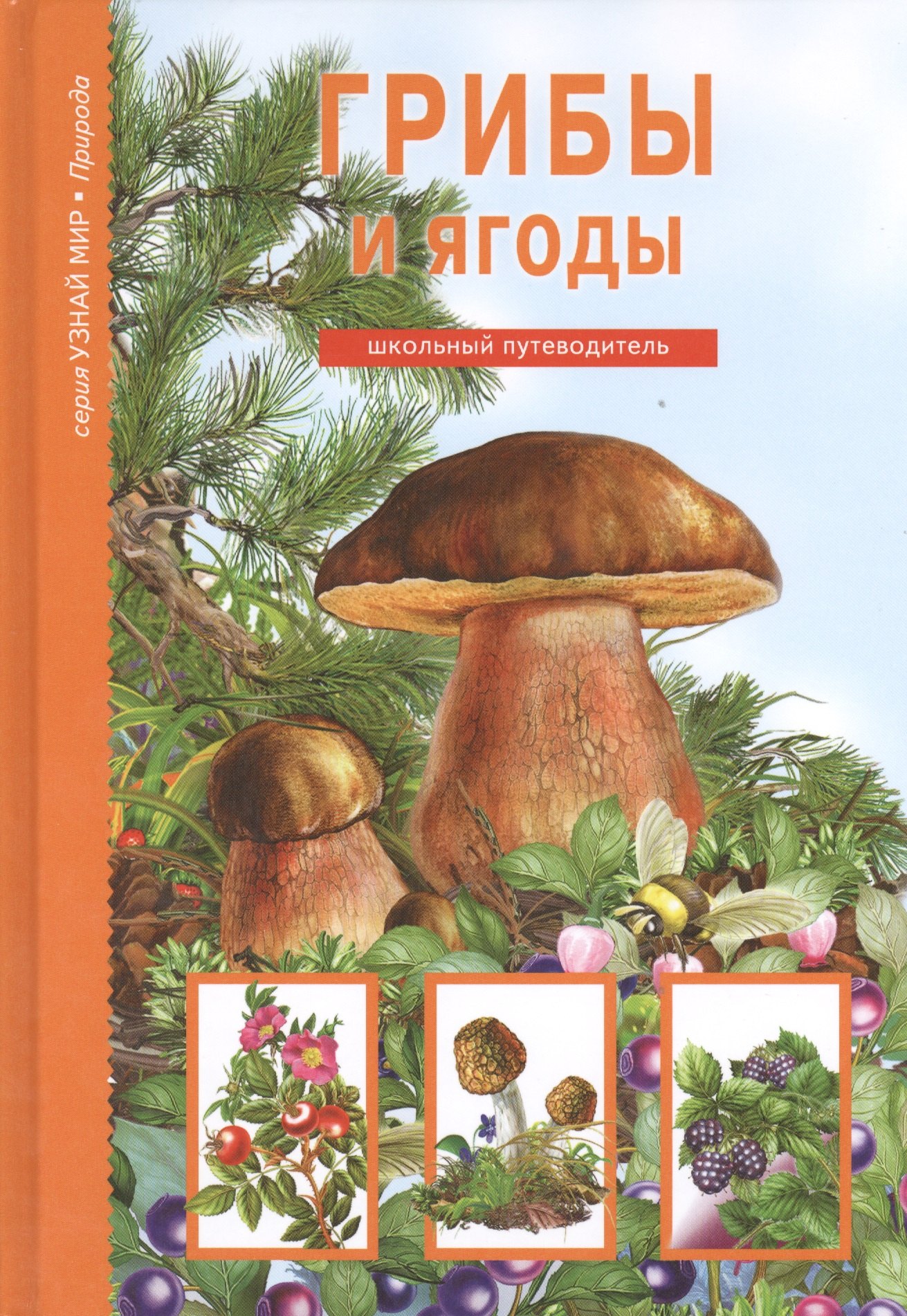 Биология в средней школе Грибы и ягоды.