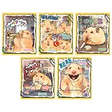 Тетрадь в клетку "Хомяк Хома", 48 листов, в ассортименте