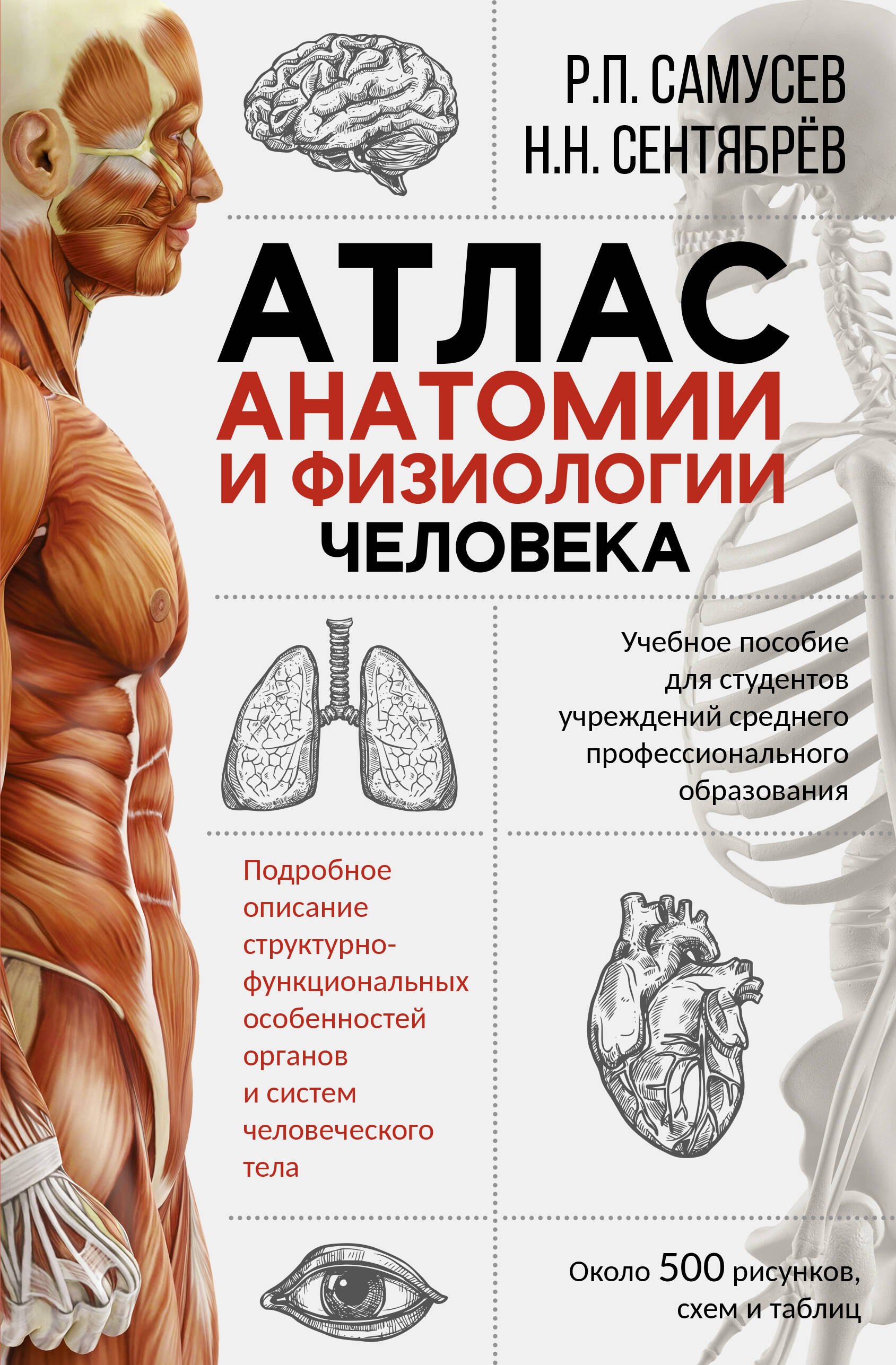  Атлас анатомии и физиологии человека. Учебное пособие для студентов учреждений среднего профессионального образования