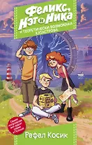 Феликс, Нэт, Ника и теоретически возможная катастрофа