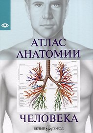 Атлас анатомии человека, изд 2025