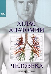 Атлас анатомии человека, изд 2025