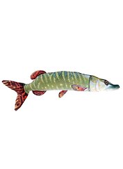 Мягкая игрушка "Рыба Щука", 80 см
