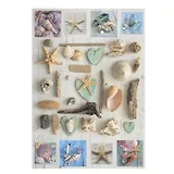 Пазл Educa 1000 деталей Коллаж. Ракушки