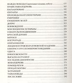 Записки верующего. Из истории религиозного движения в Советской России (1917-1923) - 2