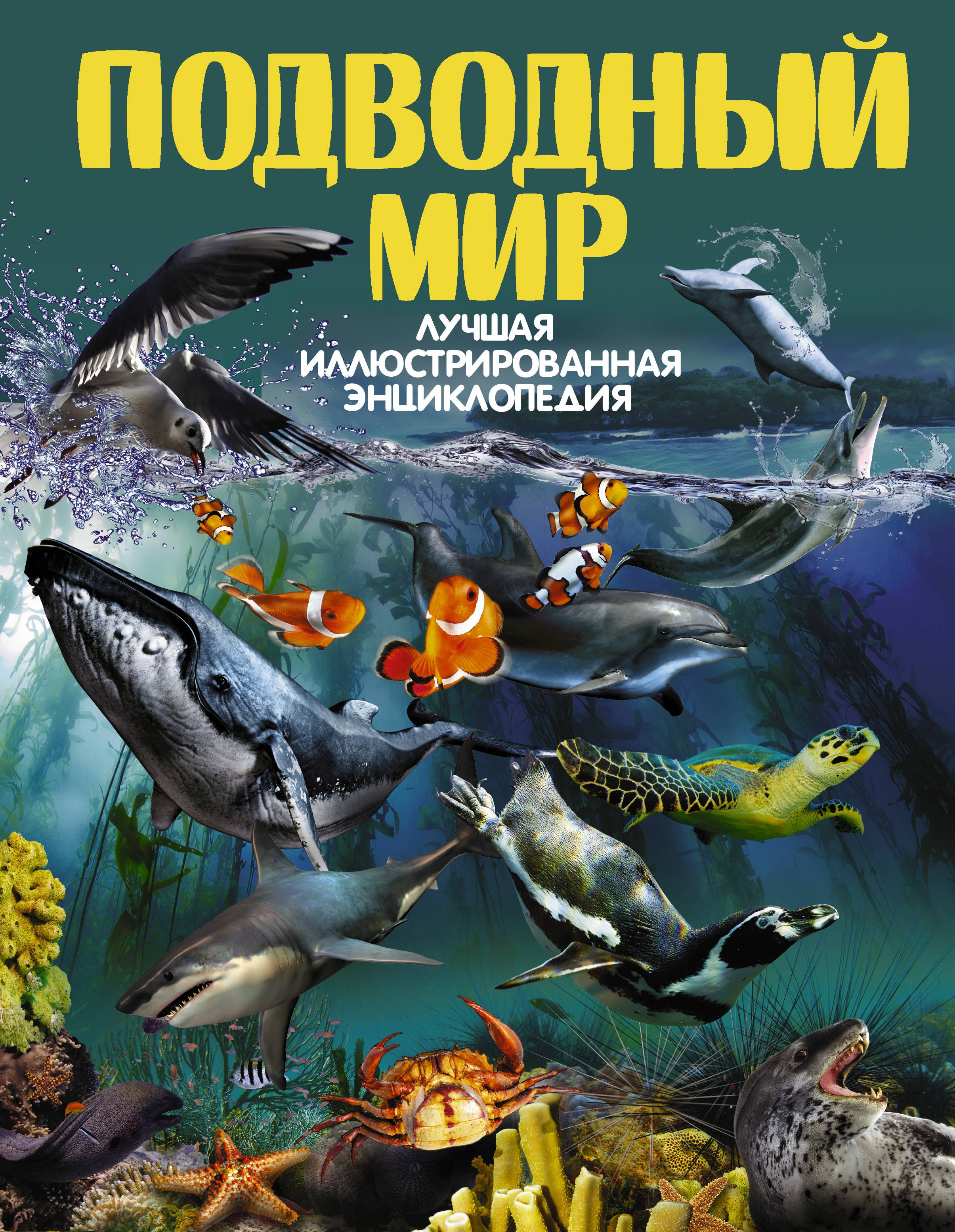 

Подводный мир