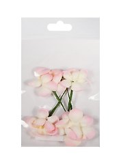 Цветы сакуры розово-бежевые (SCB291204) (d=3,5см) (набор/4шт.) (ScrapBerrys) (упаковка)