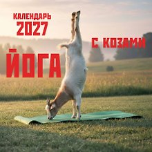 Йога с козами. Календарь настенный на 2027 год (300х300 мм)