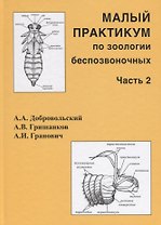 Малый практикум по зоологии беспозвоночных. Часть 2