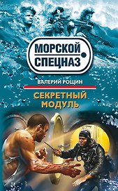 Секретный модуль: роман