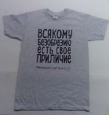Футболка Всякому безобразию (Чехов А. П.) хлопок, серая, р-р L