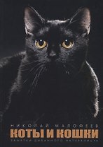 Коты и Кошки. Заметки диванного натуралиста