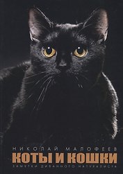 Коты и Кошки. Заметки диванного натуралиста