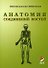 Гайворонский  Анатомия соединений костей 2010 г. 56 с. - 2