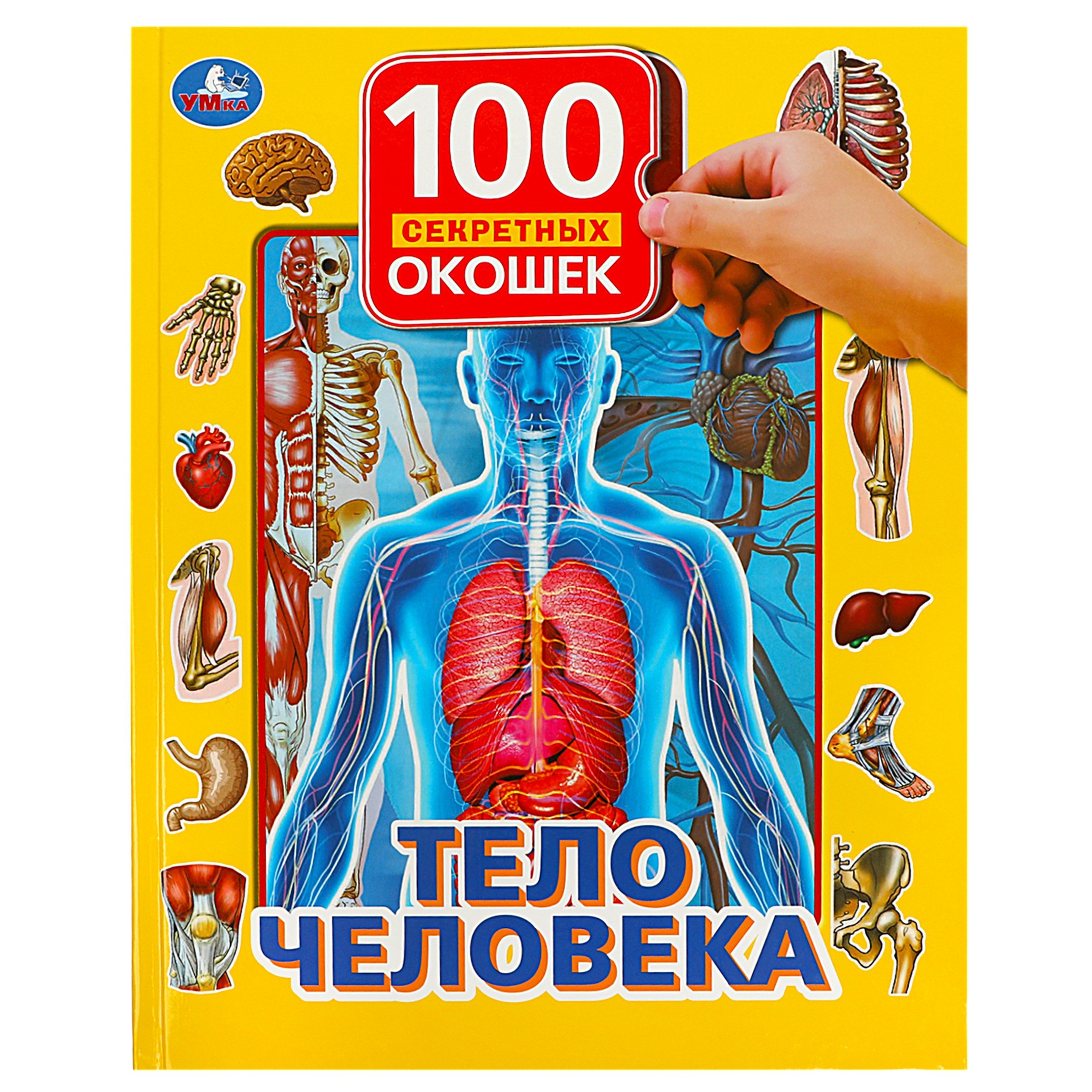 

Тело человека