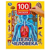 Тело человека