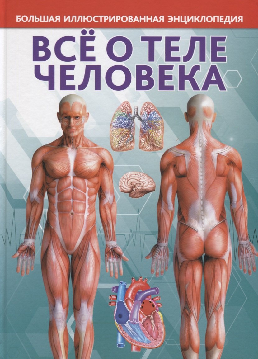 

Большая иллюстрированная энциклопедия. Все о теле человека