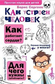 Как устроен человек