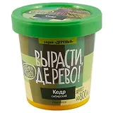 Набор для опытов и экспериментов Набор Вырасти дерево! Кедр сибирский zk-001