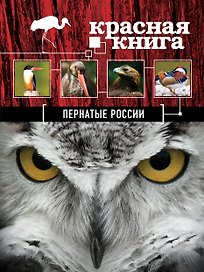 Красная книга. Пернатые России