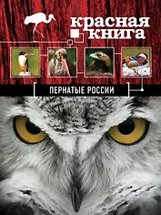Красная книга. Пернатые России