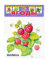 Развивающие карточки Ягоды (0+) (13 карточек)