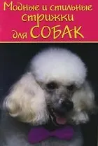 Модные и стильные стрижки для собак