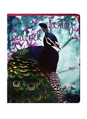 Тетрадь в клетку Альт, "Райские птицы", 48 листов, в ассортименте