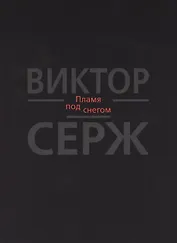 Пламя под снегом