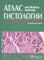 Атлас гистологии. Более 500 цветных иллюстраций